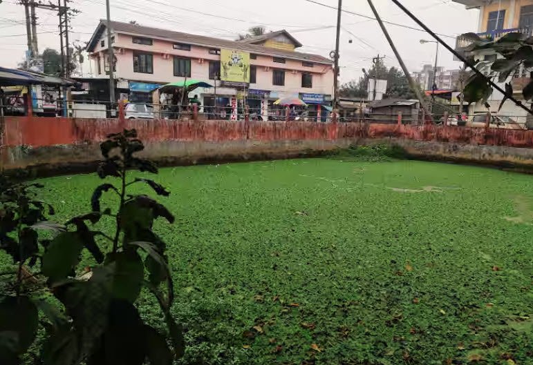 Bongal Pukhuri, Jorhat, Assam - Vushii.com Bongal Pukhuri, Jorhat, Assam - Vushii.com